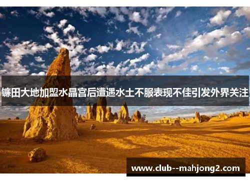 镰田大地加盟水晶宫后遭遇水土不服表现不佳引发外界关注 镰田大地加盟水晶宫后遭遇水土不服表现不佳引发外界关注